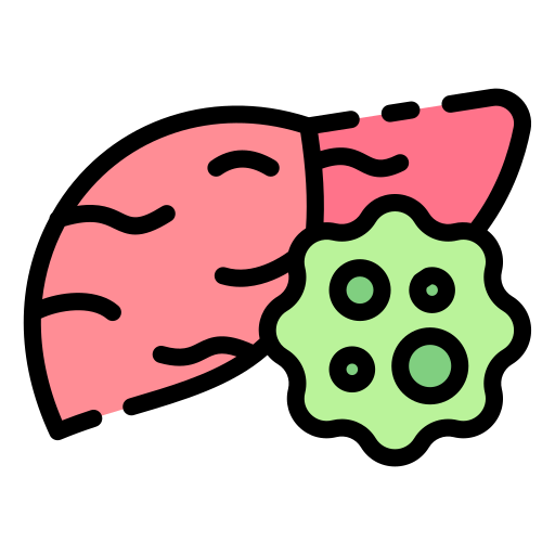 liver