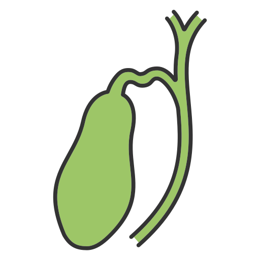 gallbladder