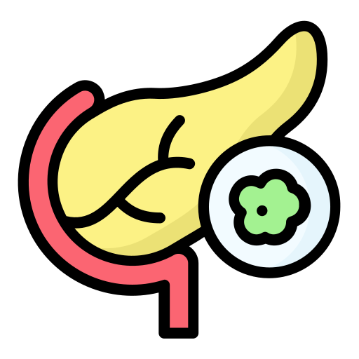 pancreas