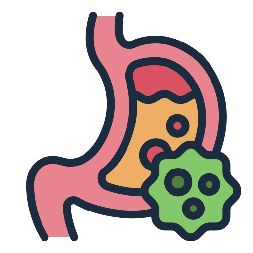 stomach